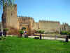 fes_3.JPG (83827 bytes)