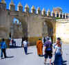fes_8.JPG (67349 bytes)