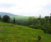 volubilis_1.JPG (46943 bytes)