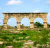 volubilis_4.JPG (69522 bytes)
