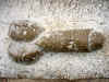 volubilis_9.JPG (96745 bytes)