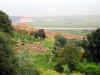 chellah_4.JPG (77910 bytes)