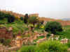 chellah_8.JPG (82129 bytes)